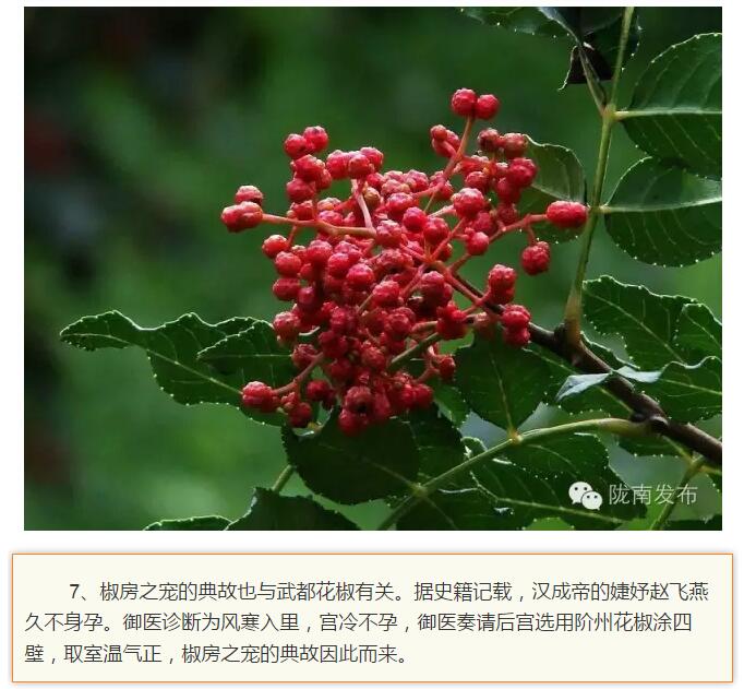 蘭渝鐵路最早由孫中山先生提出？在隴南，你不知道的事兒還有……