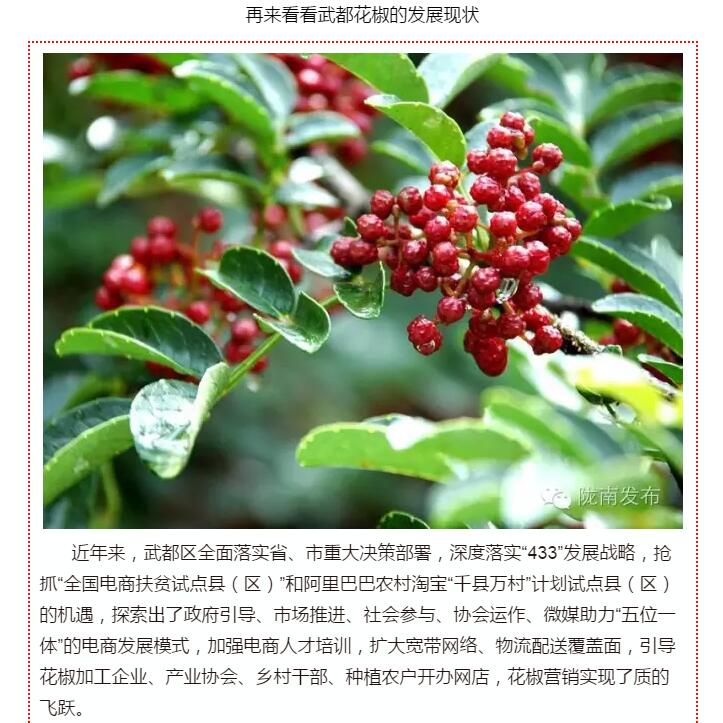 5.28億！一場(chǎng)盛會(huì)，武都花椒“火”了