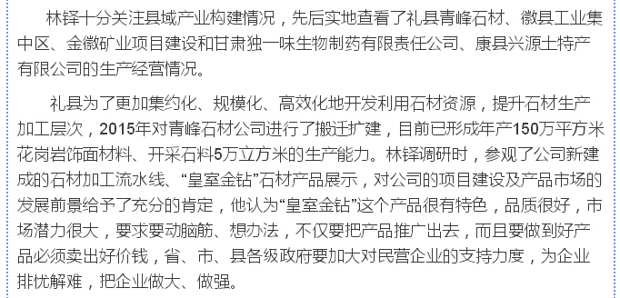 林鐸：貫徹五大理念建設富美隴南 依托資源稟賦壯大縣域經濟