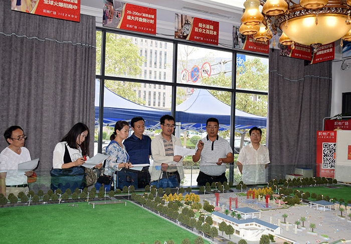 省、市聯(lián)合工作組蒞臨階州廣場檢查指導(dǎo)工作