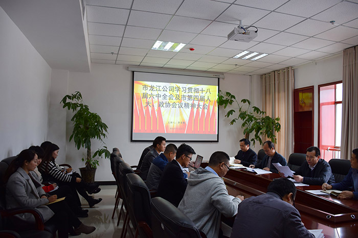 市龍江公司召開全體員工大會，專題傳達學(xué)習(xí)上級會議精神