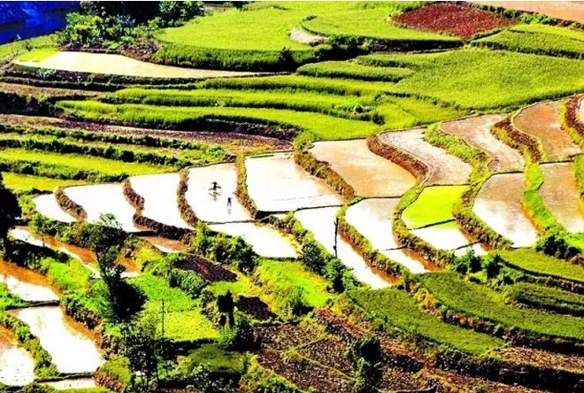 財政部 國務院扶貧辦發(fā)文進一步推進貧困縣統(tǒng)籌整合使用財政涉農(nóng)資金工作