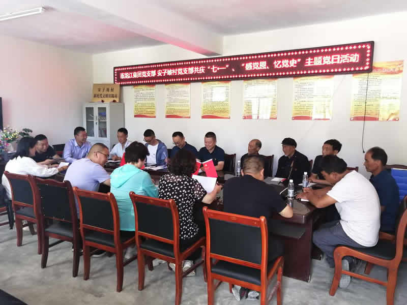 “感黨恩、憶黨史”，--市龍江城鄉(xiāng)發(fā)展集團公司開展慶祝建黨99周年主題黨日活動
