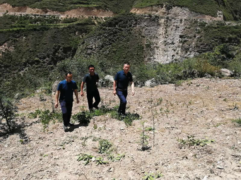 “感黨恩、憶黨史”，--市龍江城鄉(xiāng)發(fā)展集團公司開展慶祝建黨99周年主題黨日活動