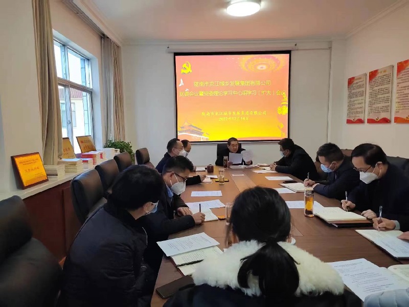 市龍江集團召開黨委理論學習中心組學習(擴大)會議